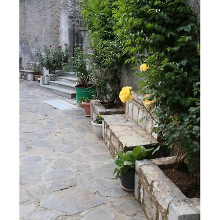 Maleatis Apollo Guesthouse กอสมาส ภายนอก รูปภาพ